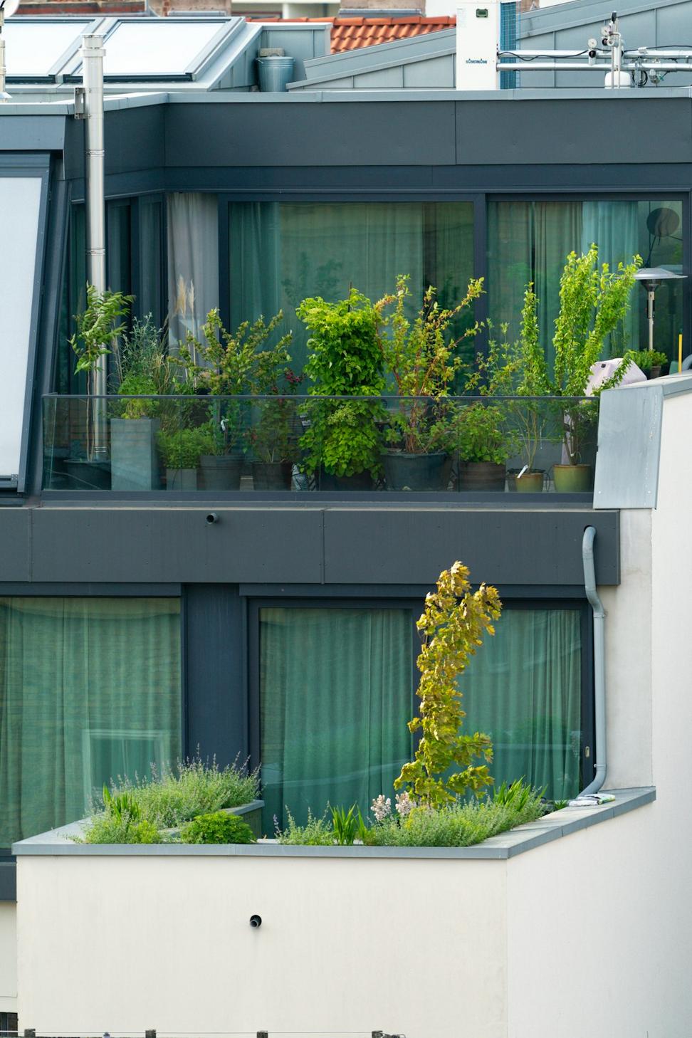 Residential project